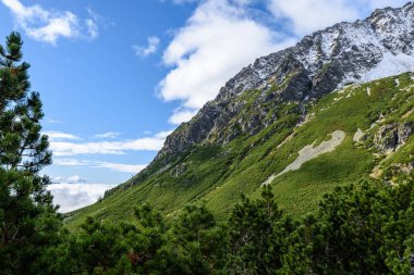 Slovakça Karpat Dağları Güz. üstleri ile yeşil tepeler 