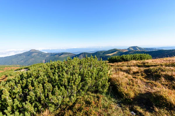 Σλοβακίας Καρπάθια Όρη το φθινόπωρο. Sunny hill κορυφές στο άθροισμα — Φωτογραφία Αρχείου