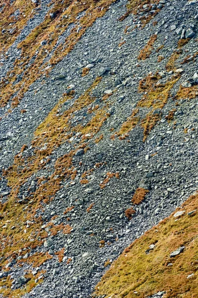 Montanhas eslovacas cárpatos no outono. texturas de rocha em paredes — Fotografia de Stock
