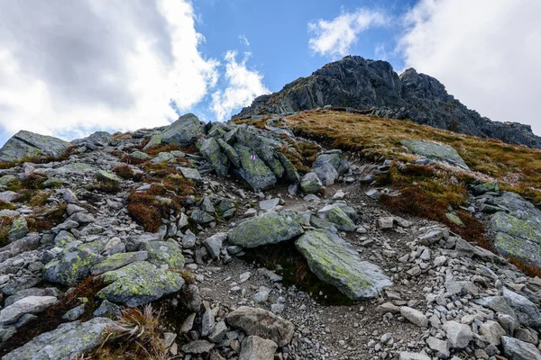 Montagne carpatiche slovacche in autunno. texture rocciose sulle pareti — Foto Stock