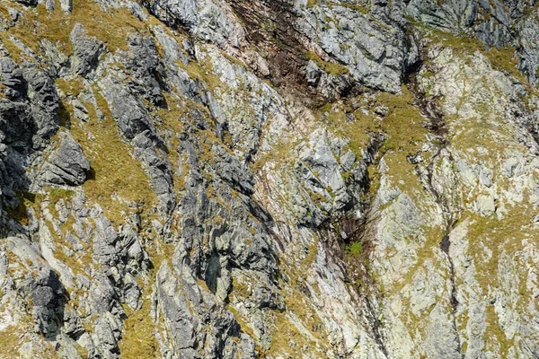 Словацкие Карпаты осенью. текстуры пород на стенах — стоковое фото