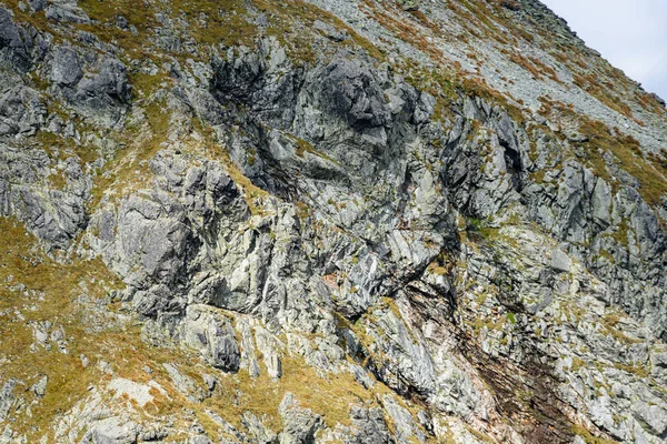 Montanhas eslovacas cárpatos no outono. texturas de rocha em paredes — Fotografia de Stock