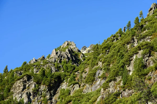 Slovakiska Karpaterna i höst. gröna kullar med toppar — Stockfoto