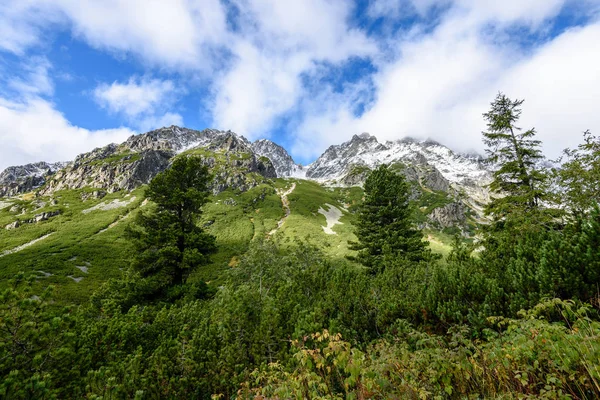 Montagne carpatiche slovacche in autunno. colline verdi con cime — Foto Stock