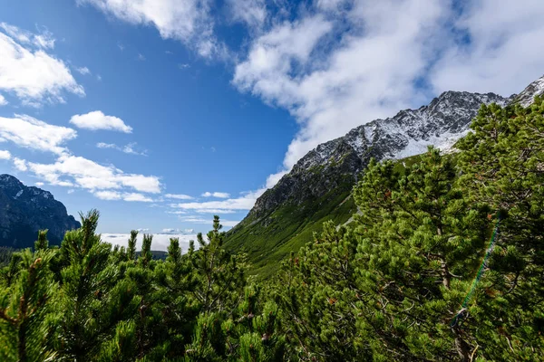 Slowaakse Karpaten in het najaar. groene heuvels met toppen — Stockfoto