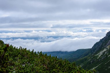 Slovakça Karpat Dağları Güz. üstleri ile yeşil tepeler 