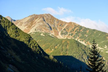Slovakça Karpat Dağları Güz. güneşli tepe üstleri toplam