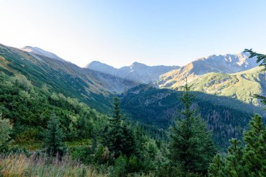Slovakça Karpat Dağları Güz. güneşli tepe üstleri toplam