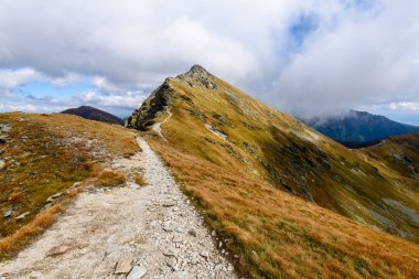 Slovakça Karpat Dağları Güz. 