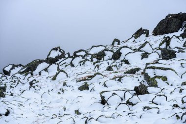 Slovakça Karpat Dağları Güz. güneşli tepe üstleri kazanmak