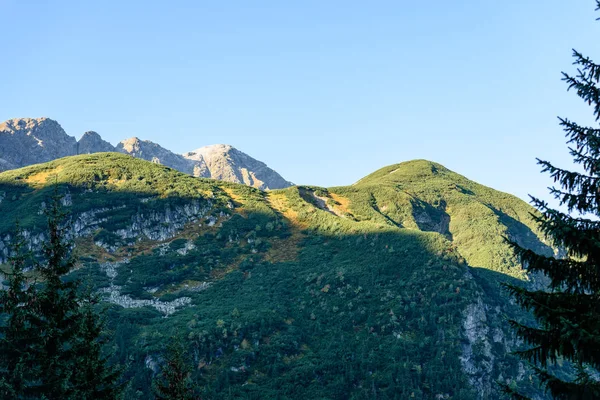 Munții carpați slovaci toamna. dealul însorit topuri în sumă — Fotografie, imagine de stoc