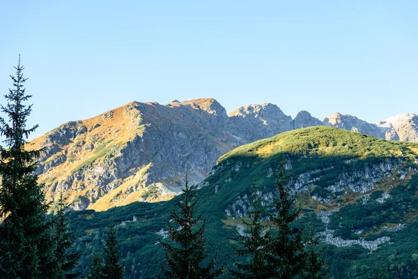 Montagne carpatiche slovacche in autunno. sommità soleggiate della collina — Foto Stock