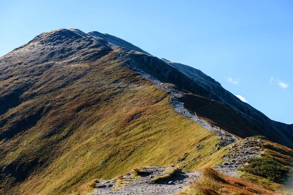 Montagnes carpates slovaques en automne . — Photo