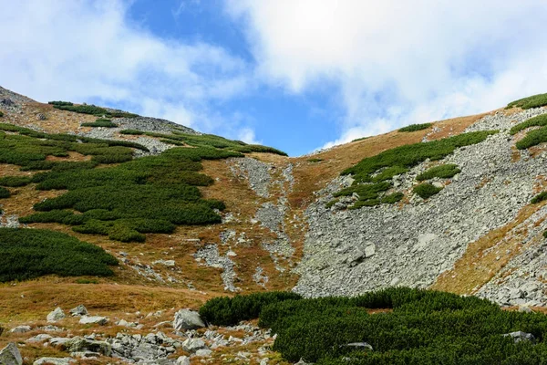 Slovakça Karpat Dağları ile yeşil ormanları sonbaharda — Stok fotoğraf