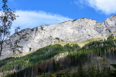 Slovakça Karpat Dağları ile yeşil ormanları sonbaharda