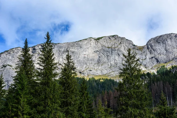 Montagnes carpates slovaques en automne avec des forêts vertes — Photo