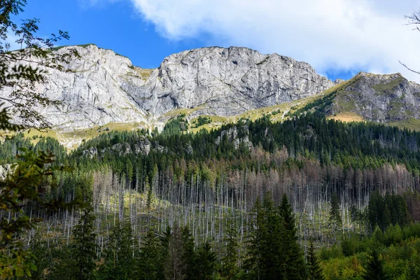 Slovakça Karpat Dağları ile yeşil ormanları sonbaharda