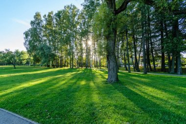 güneşli bir günde yaz park