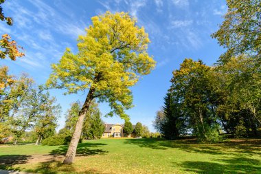 güneşli bir günde yaz park