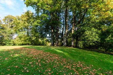 güneşli bir günde yaz park