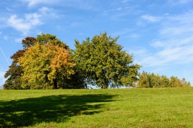 güneşli bir günde yaz park