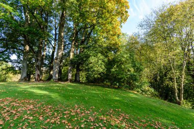güneşli bir günde yaz park
