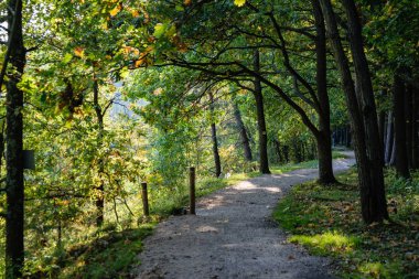 güneşli bir günde yaz park