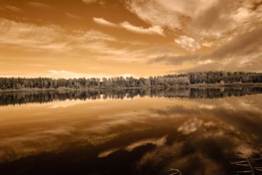 orman göl kenarında. Kızılötesi renkli görüntü