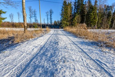 Araba lastik izleri kış yolda