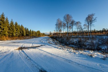 Araba lastik izleri kış yolda