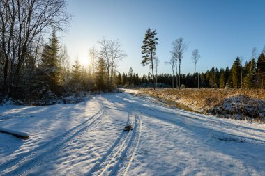Araba lastik izleri kış yolda