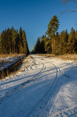 Araba lastik izleri kış yolda
