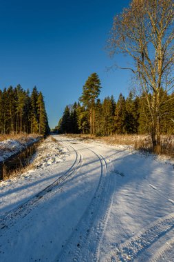 Araba lastik izleri kış yolda