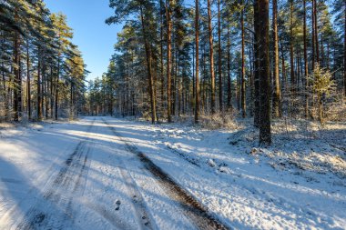 Araba lastik izleri kış yolda