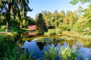 güneşli bir günde yaz park