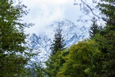 Slovakça Karpat Dağları ile yeşil ormanları sonbaharda