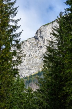Slovakça Karpat Dağları ile yeşil ormanları sonbaharda