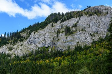 Slovakça Karpat Dağları ile yeşil ormanları sonbaharda