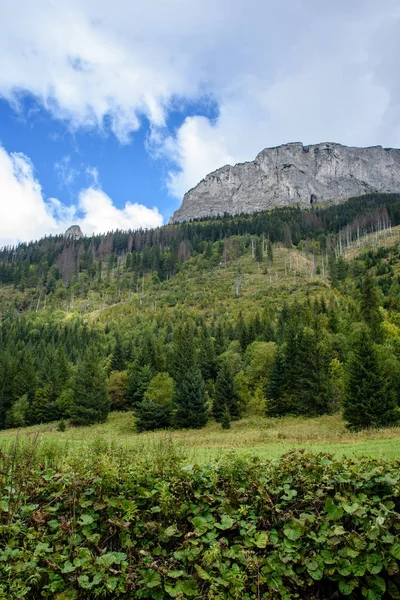 Montañas de los Cárpatos eslovacos en otoño con bosques verdes — Foto de Stock