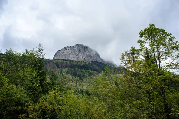 Montagnes carpates slovaques en automne avec des forêts vertes — Photo