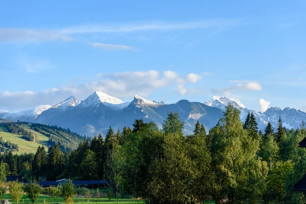 Slovakian carpathian mountains in autumn with green forests — Stock Photo, Image