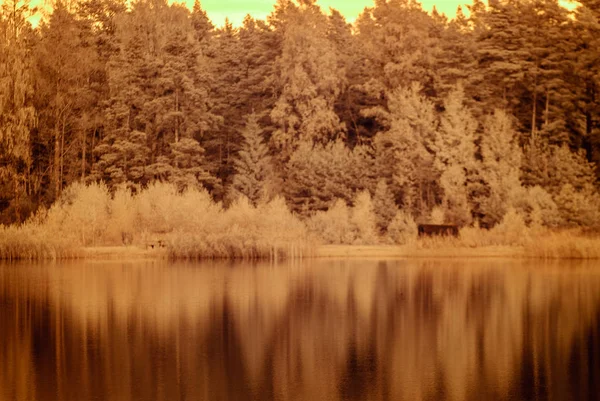 Orman göl kenarında. Kızılötesi renkli görüntü — Stok fotoğraf