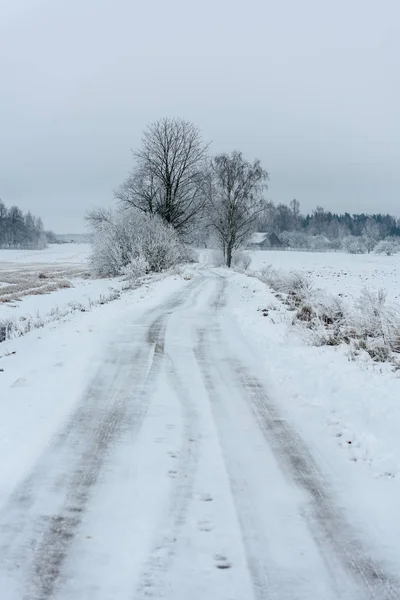 Следы шин на зимней дороге — стоковое фото