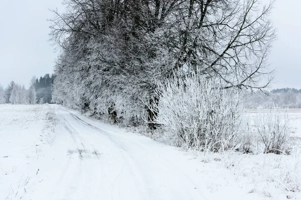 Araba lastik izleri kış yolda — Stok fotoğraf