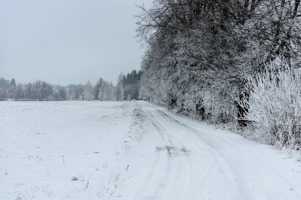 Faixas de pneus de carro na estrada de inverno — Fotografia de Stock