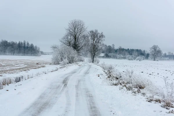 Faixas de pneus de carro na estrada de inverno — Fotografia de Stock