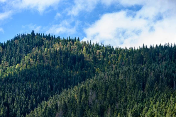Slovakça Karpat Dağları ile yeşil ormanları sonbaharda — Stok fotoğraf
