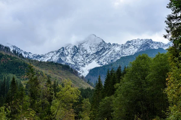 緑の森と秋のスロバキア カルパチア山脈 — ストック写真