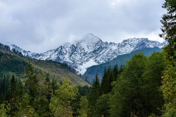 Slovakça Karpat Dağları ile yeşil ormanları sonbaharda — Stok fotoğraf