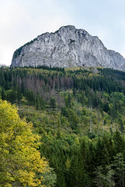 Slovakiske karpatiske fjell om høsten med grønne skoger – stockfoto
